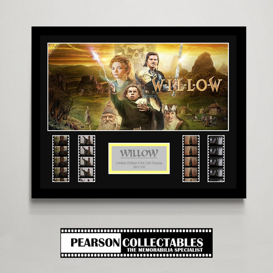Willow Large Film Cell Display