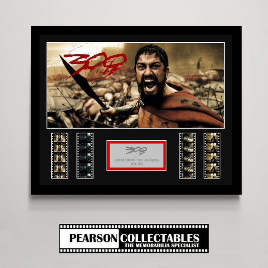 300 Large Film Cell Display