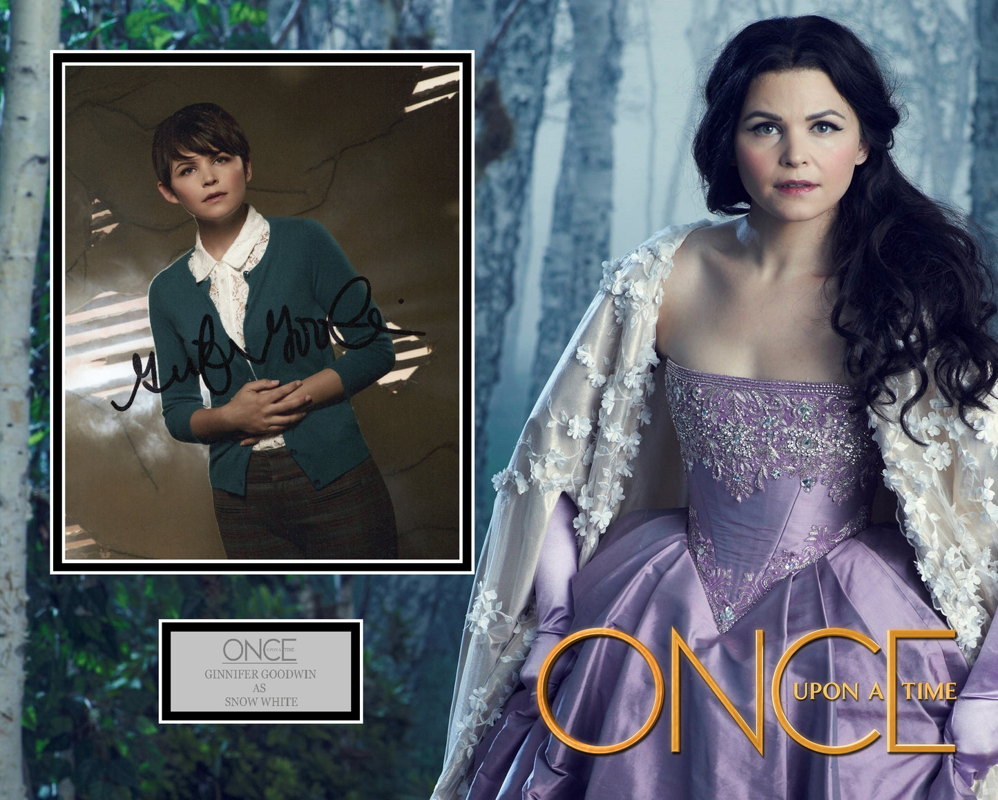 Ginnifer Goodwin 'Once Upon A Time' Autograph Display