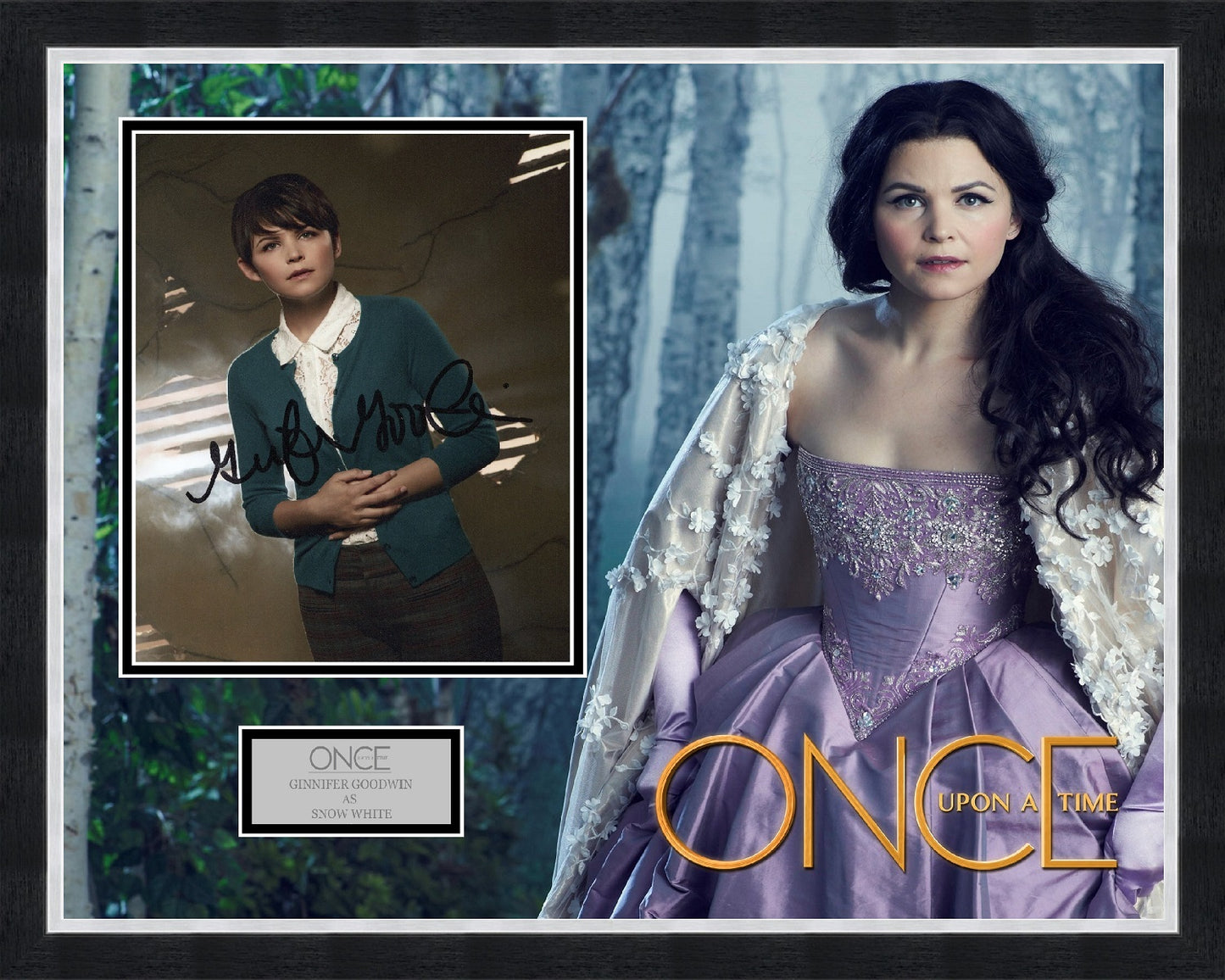 Ginnifer Goodwin 'Once Upon A Time' Autograph Display