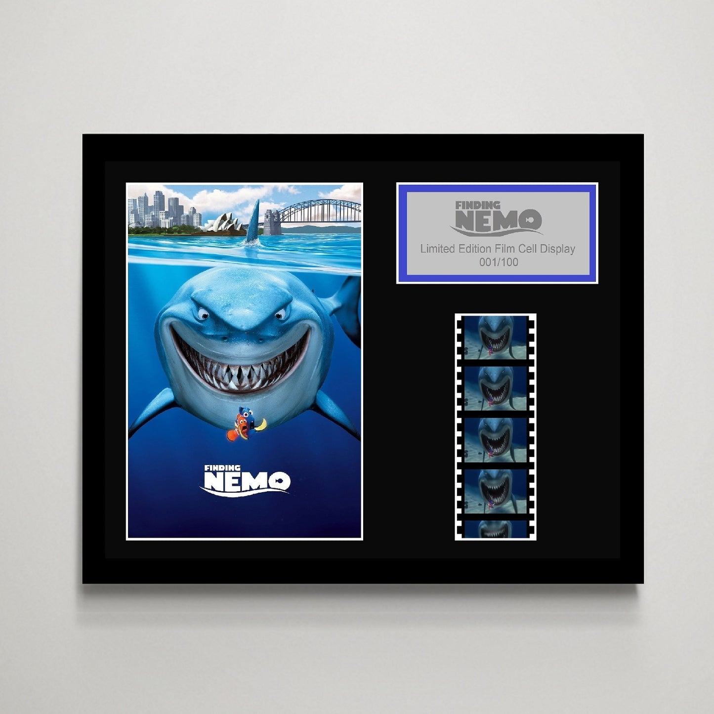 Finding Nemo Small Film Cell Display