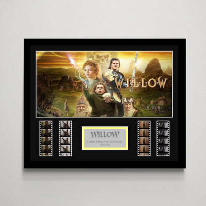 Willow Large Film Cell Display