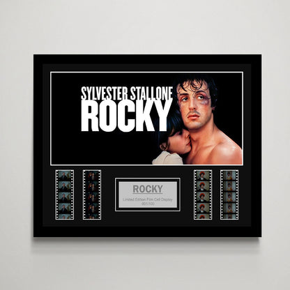 Rocky Large Film Cell Display