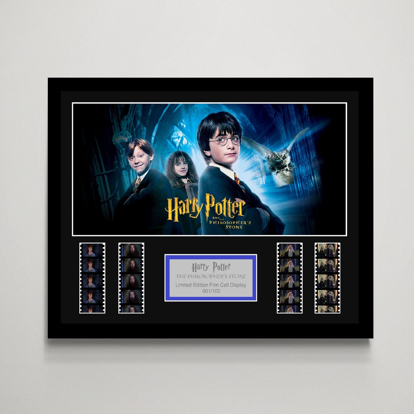 Harry Potter: The Philosophers Stone Large Film Cell Display